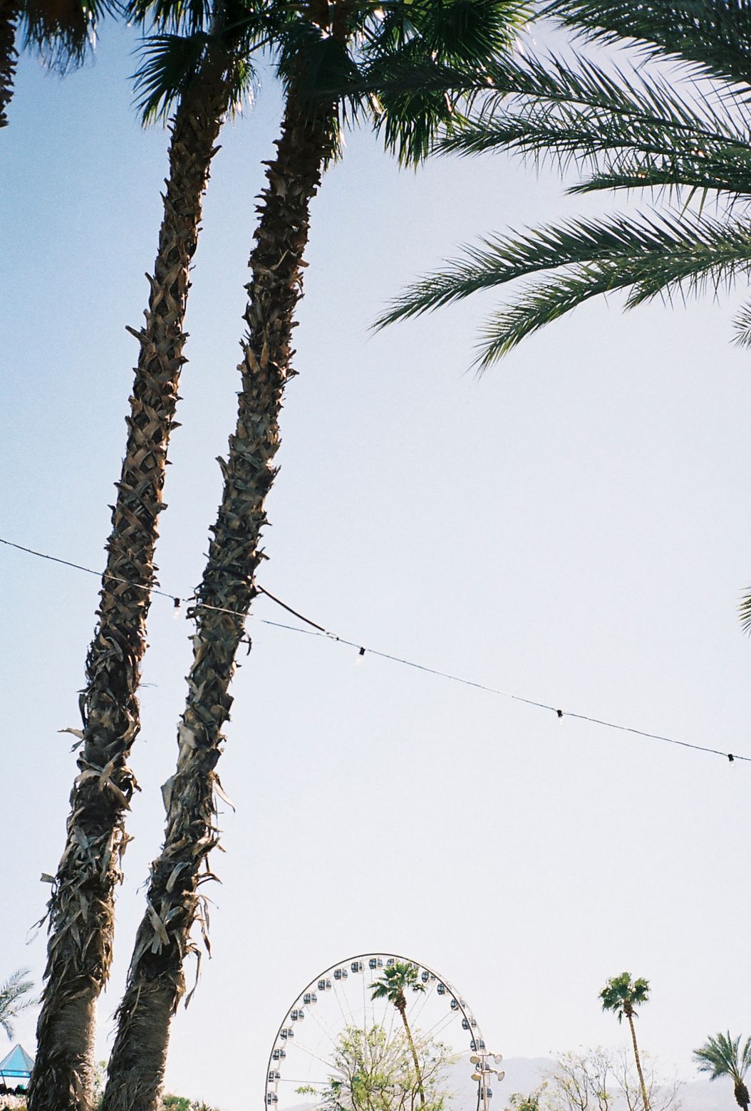 coachella day contax t2