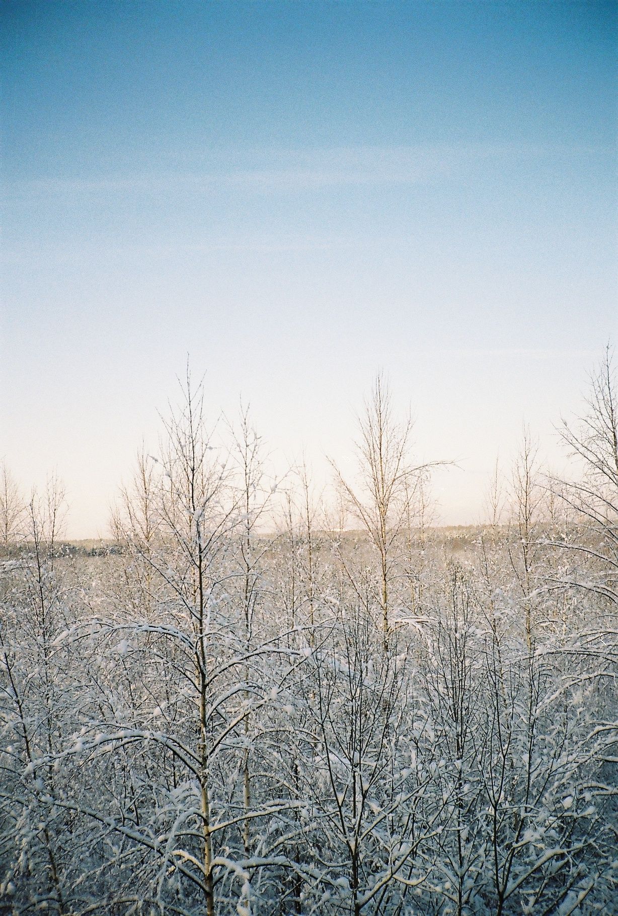 tallinn snow contax t2